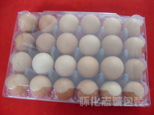 24枚雞蛋盒/ 懷化吸塑包裝廠家/懷化楊梅盒/懷化水果盒